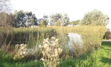 Terreno - San Andrés Ocotlán