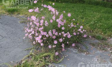 Terreno - San Andrés Ocotlán