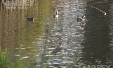 Terreno - San Andrés Ocotlán