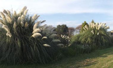 Terreno - San Andrés Ocotlán