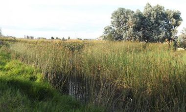 Terreno - San Andrés Ocotlán