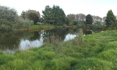 Terreno - San Andrés Ocotlán