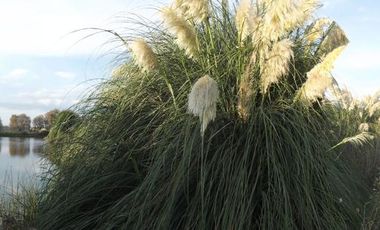 Terreno - San Andrés Ocotlán