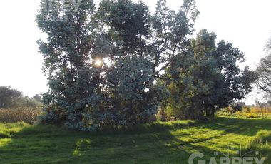 Terreno - San Andrés Ocotlán