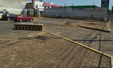 Terreno En Renta El Rosario