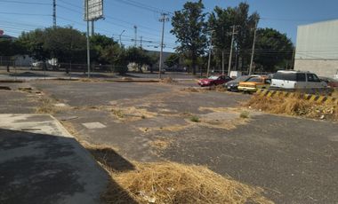 Terreno En Renta El Rosario