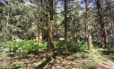 Terreno en  Venta en Ex-hacienda Jajalpa