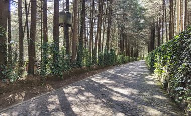 Terreno en  Venta en Ex-hacienda Jajalpa