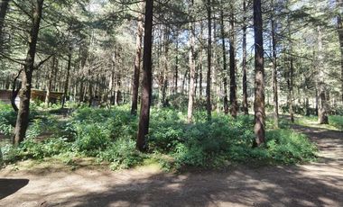 Terreno en  Venta en Ex-hacienda Jajalpa