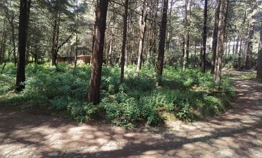 Terreno en  Venta en Ex-hacienda Jajalpa