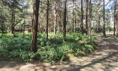 Terreno en  Venta en Ex-hacienda Jajalpa