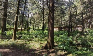Terreno en  Venta en Ex-hacienda Jajalpa