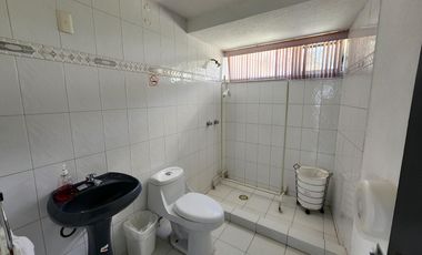 Edificio Comercial RENTA Camelinas