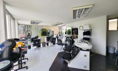 Edificio Comercial RENTA Camelinas