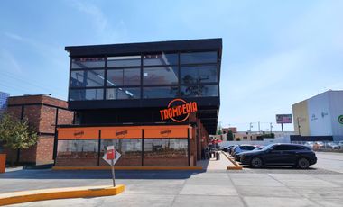 Local comercial en renta en Plaza comercial Pabellon Tollocan en Metepec