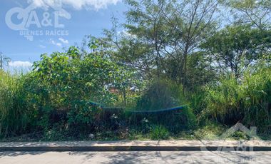 Terreno en Renta en Bugambilias Uso de Suelo Mixto