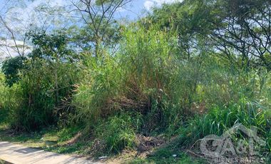 Terreno en Renta en Bugambilias Uso de Suelo Mixto