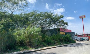Terreno en Renta en Bugambilias Uso de Suelo Mixto