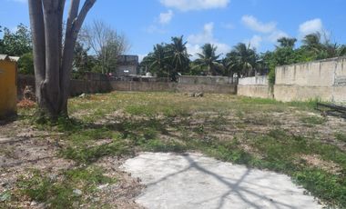 TERRENO EN RENTA CANCÚN
