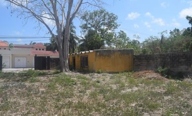 TERRENO EN RENTA CANCÚN