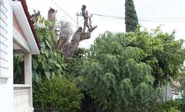 Venta y Renta de Casa sola frente al Lienzo Charro, Cuernavaca Morelos