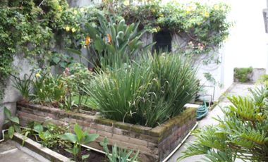Venta y Renta de Casa sola frente al Lienzo Charro, Cuernavaca Morelos