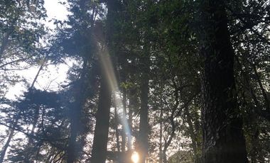 CASA EN RENTA EN LOMAS DE BEZARES