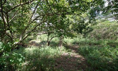 En venta terreno con casona y cenote en Temozón