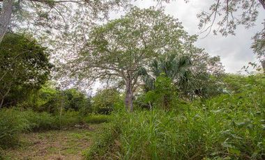 En venta terreno con casona y cenote en Temozón