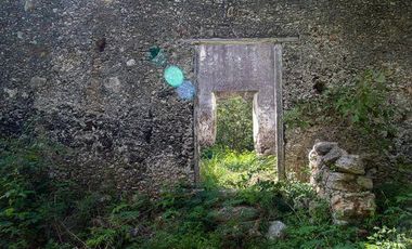 En venta terreno con casona y cenote en Temozón