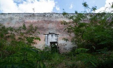 En venta terreno con casona y cenote en Temozón