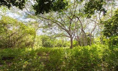 En venta terreno con casona y cenote en Temozón