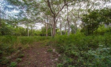 En venta terreno con casona y cenote en Temozón