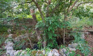 En venta terreno con casona y cenote en Temozón