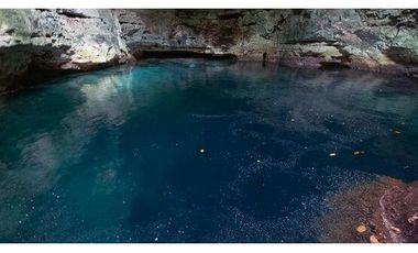 En venta terreno con casona y cenote en Temozón