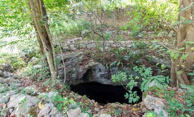 En venta terreno con casona y cenote en Temozón