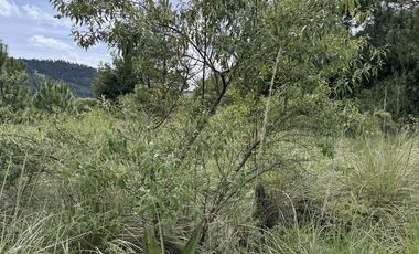 Terreno en  venta con hermosas vistas