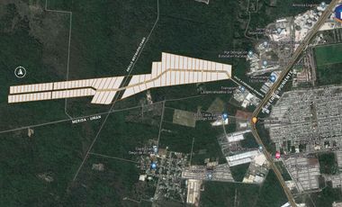 Venta Bodegas industriales en BODEGAS TIXCACAL Yucatan