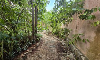 Encantadora Casa Rústica con Piscina y Jardín en Venta | Ek Balam, Yucatán