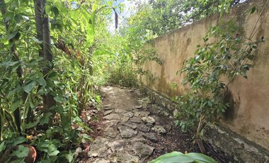 Encantadora Casa Rústica con Piscina y Jardín en Venta | Ek Balam, Yucatán