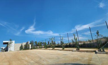Terreno en  Venta en Altozano junto al Hospital Ángeles