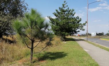 Terreno en  Venta en Altozano fraccionamiento privado