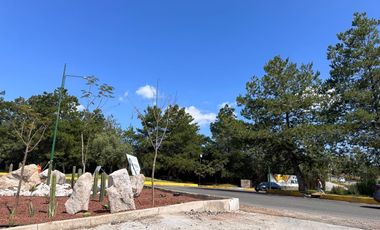 Terreno en  Venta en Altozano fraccionamiento privado