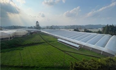 Apartamento en Marinilla