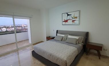 Departamento en venta en Torre Marino Platino Plus