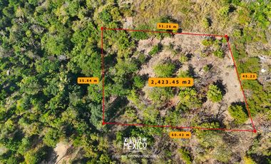 TERRENO EN PLAYA MERMEJITA, MAZUNTE TONAMECA, OAXACA