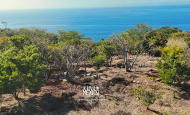 TERRENO EN PLAYA MERMEJITA, MAZUNTE TONAMECA, OAXACA