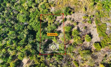 TERRENO EN PLAYA MERMEJITA, MAZUNTE TONAMECA, OAXACA