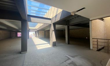 RENTA DE LOCAL EN PLAZA SAN ISIDRO EN METEPEC