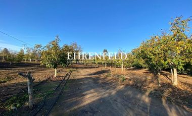 Casablanca, parcela de agrado y predio agrícola.